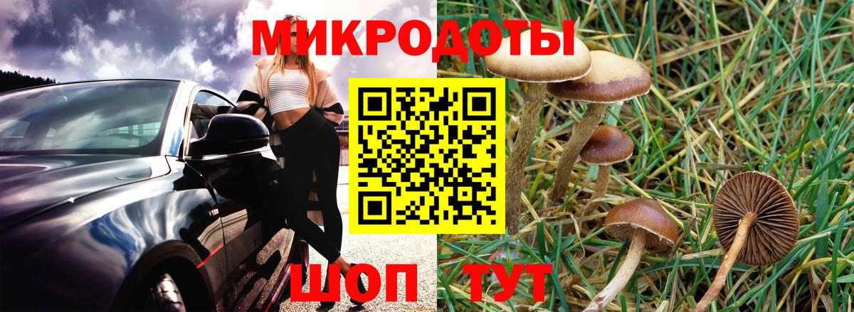 Псилоцибиновые грибы Psilocybine cubensis  Вход с VPN  Балахна 